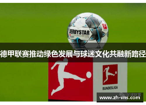德甲联赛推动绿色发展与球迷文化共融新路径 德甲联赛推动绿色发展与球迷文化共融新路径